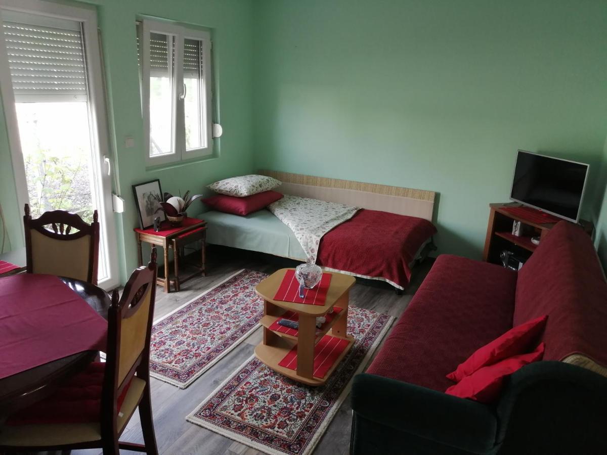 Airport Apartment T&T Surcin Екстер'єр фото