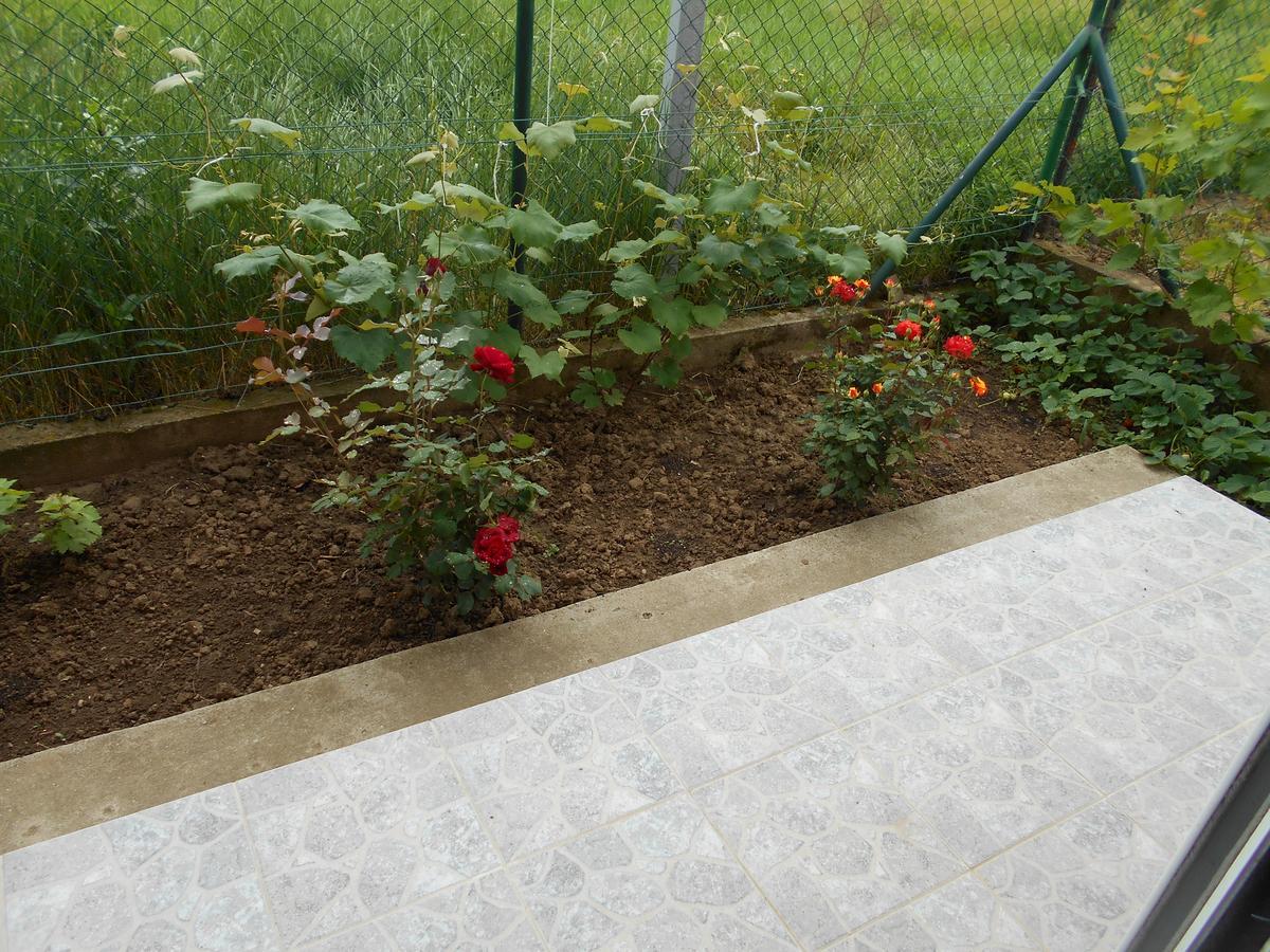 Airport Apartment T&T Surcin Екстер'єр фото